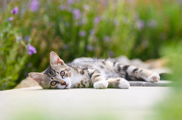 Similar image 21346343