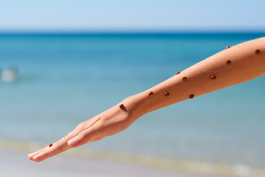 Similar image 21347593