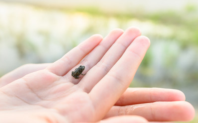 Similar image 21346344