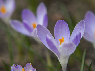 Similar image 21346764