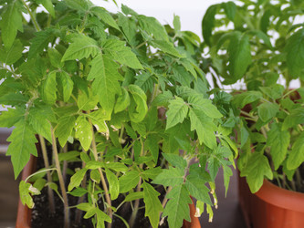 Similar image 21346766