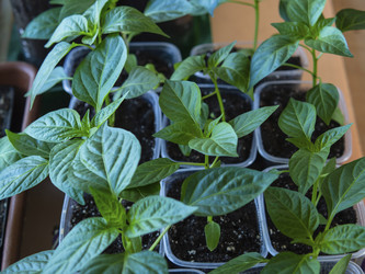 Similar image 21346767