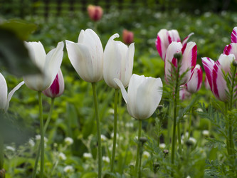 Similar image 21346768