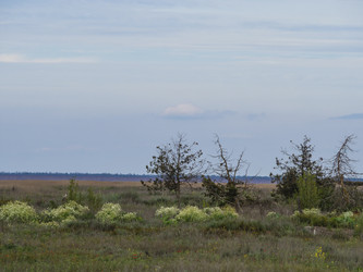 Similar image 21346769