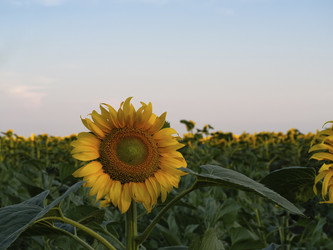 Similar image 21347243