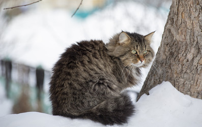 Similar image 21369018