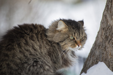 Similar image 21369019