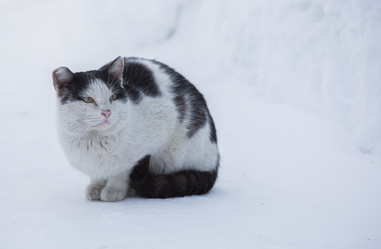 Similar image 21369021