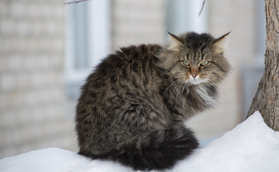 Similar image 21369022