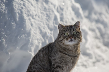 Similar image 21369024