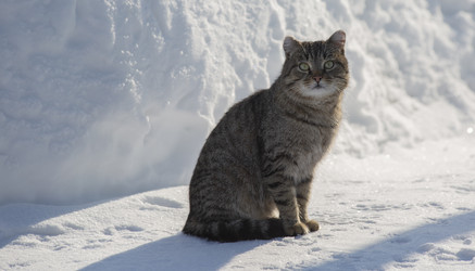 Similar image 21369025