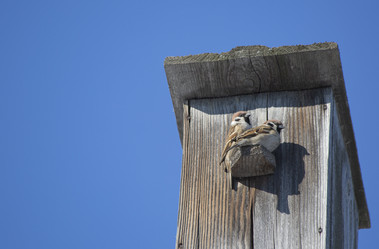 Similar image 21360561