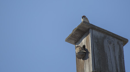 Similar image 21360562