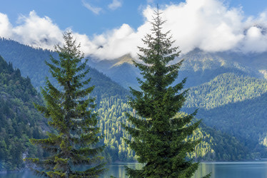 Similar image 21347841