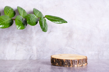 Similar image 21347170