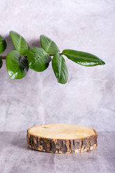 Similar image 21347172