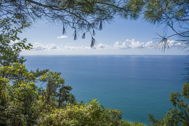 Similar image 21347842