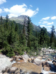 Similar image 21347210