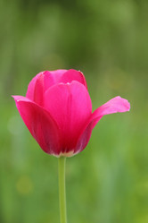 Similar image 21356536