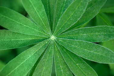 Similar image 21356538