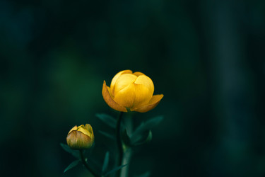 Similar image 21356539