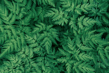 Similar image 21356542