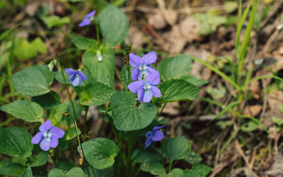 Similar image 21356544