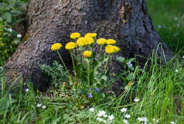 Similar image 21356546