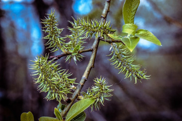 Similar image 21356549