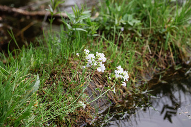 Similar image 21356550