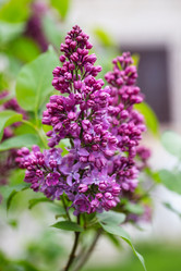 Similar image 21356553