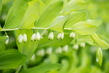 Similar image 21356554