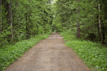 Similar image 21356865