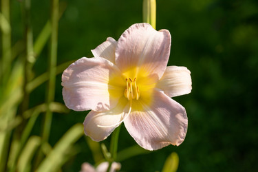 Similar image 21356875