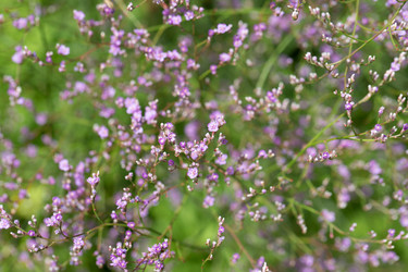 Similar image 21356881