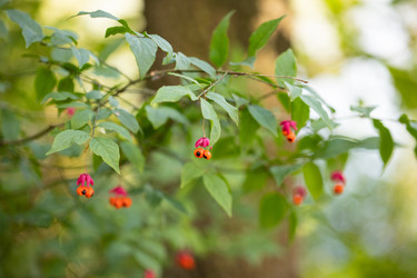 Similar image 21362828