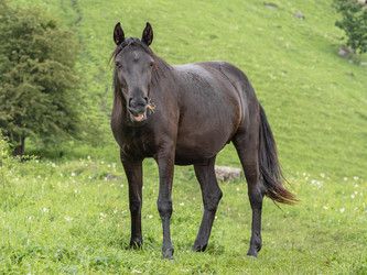 Similar image 21352591