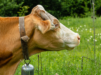 Similar image 21349960