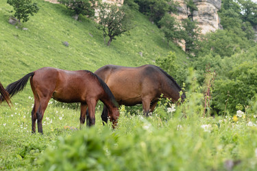 Similar image 21356493