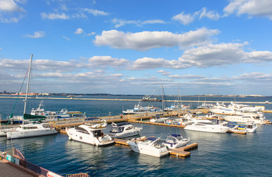 Similar image 21349963