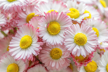 Similar image 21369462