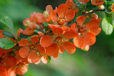 Similar image 21369463