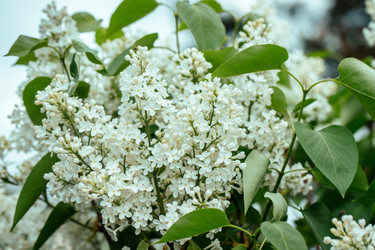 Similar image 21369471