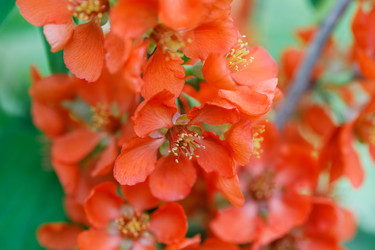 Similar image 21369472