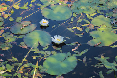 Similar image 21369522