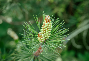 Similar image 21369540