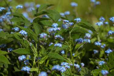 Similar image 21369545