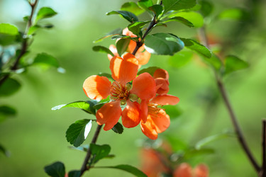 Similar image 21369547