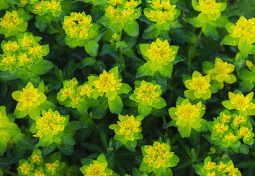 Similar image 21369548