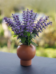 Similar image 21369551